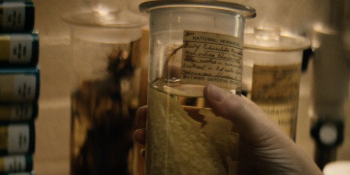 Hand holding a specimen jar
