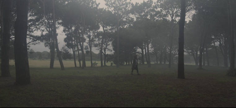Woman walking through misty woodland.