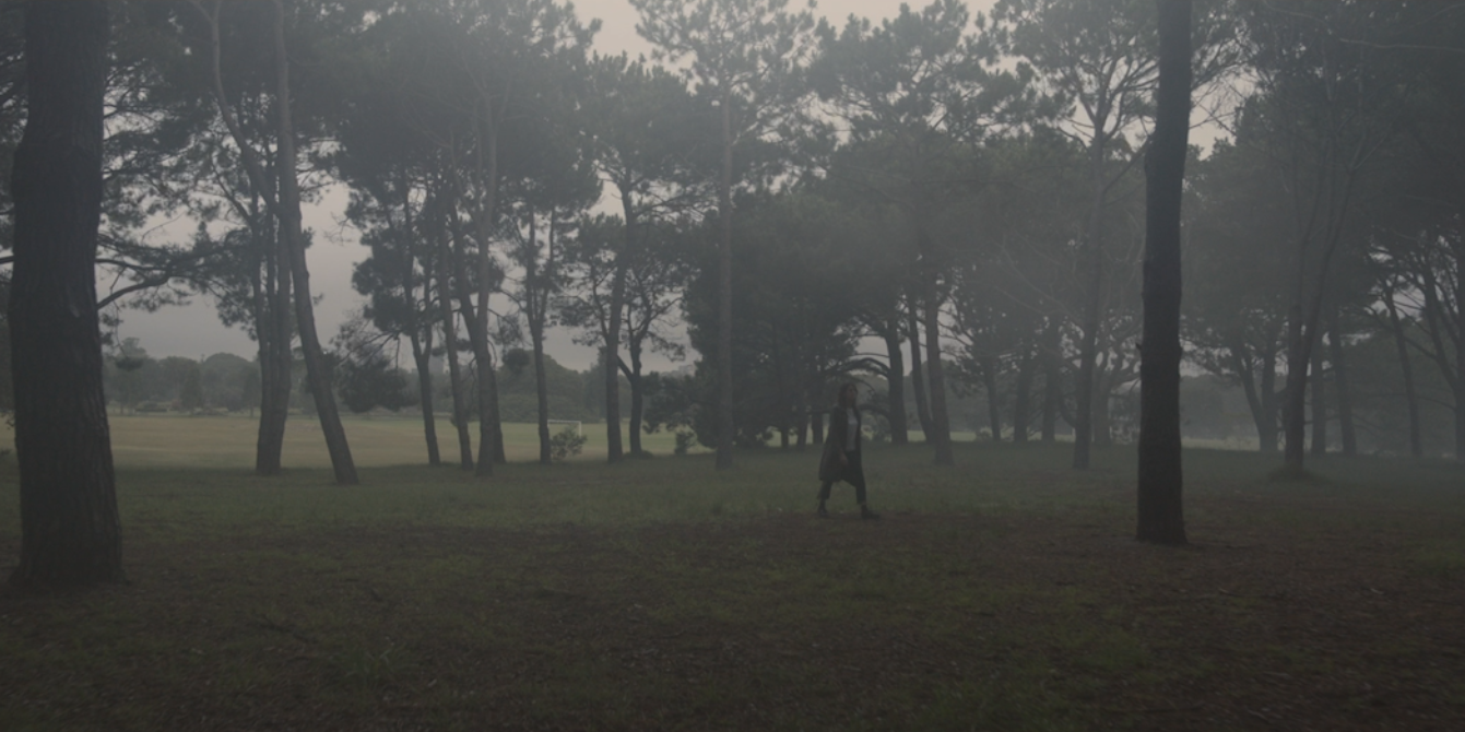 Woman walking in a misty woodland